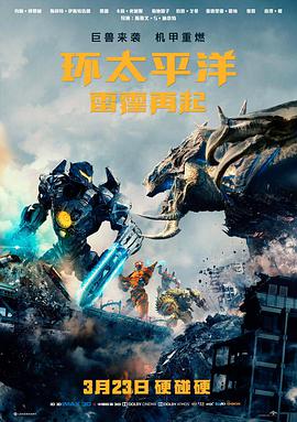 长夜回声 高清电影在线观看